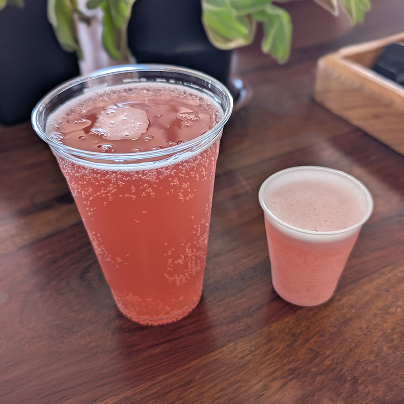 Kombucha